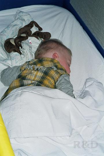 Imme 12 april 2007 (15).jpg